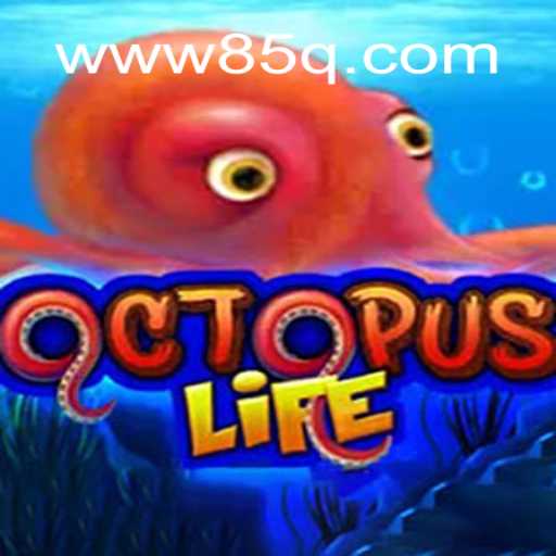 Explorando o Fenômeno de OctopusLife: Um Guia Completo